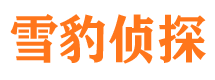 上林捉小三公司